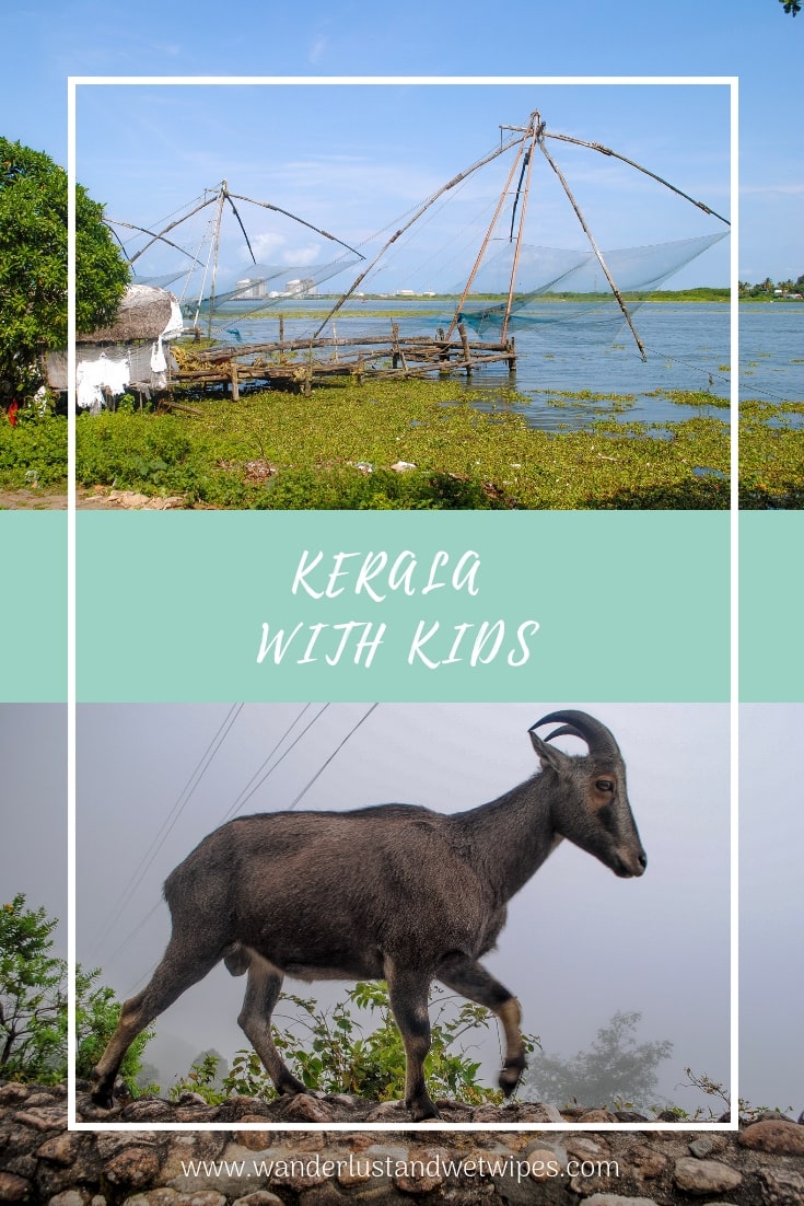 Kerala With Kids - India isn't for the faint hearted and this trip was no different. We faced challenges but also had some incredible experiences. Here's how to make the most of Kerala with kids.