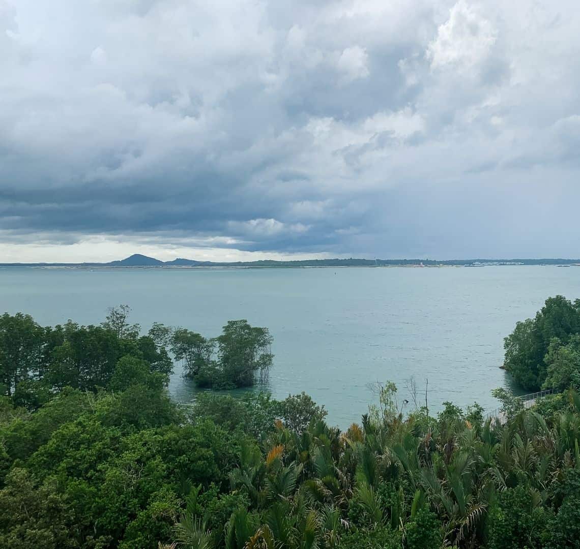 View from Jejawi Tower - the sky is dark with storms, moulds. On the horizon you can see the main island of Singapore but the land mass is quite dark. In front of it the sea is a blueish grey. In the foreground is a canopy of trees.