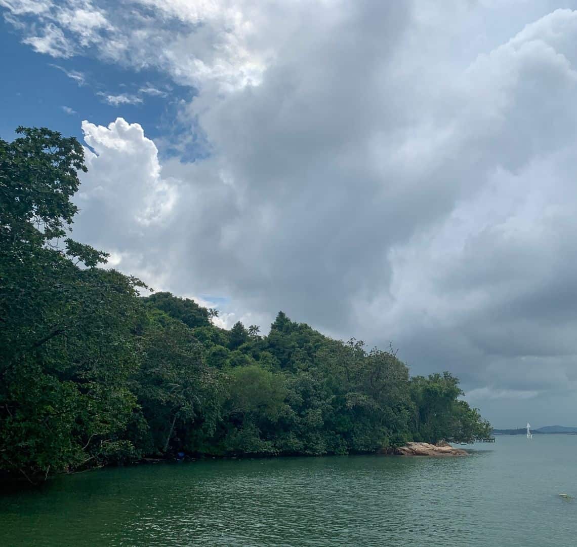 The sea is a dark green-ish turquoise. There are many trees sloping down to the water from the left and a small beach or outcrop of beige rocks at the end. The sky is very grey and cloudy except for some blue sky on the left.
