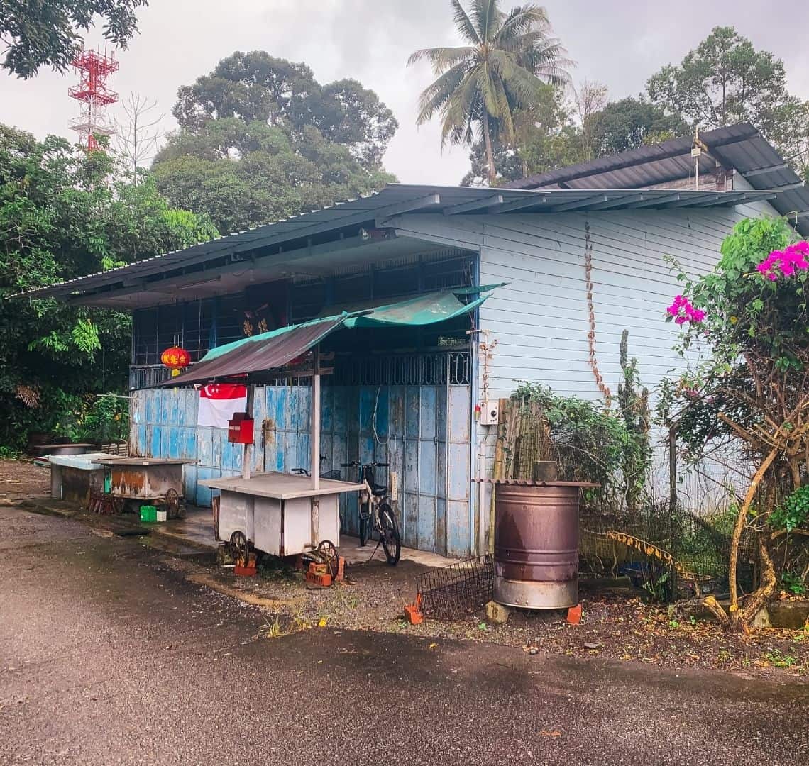 A blue shop fron with some Chinese lanterns outside and a green canopy, There is a bicycle, a bin and a bougainvillea outside. 