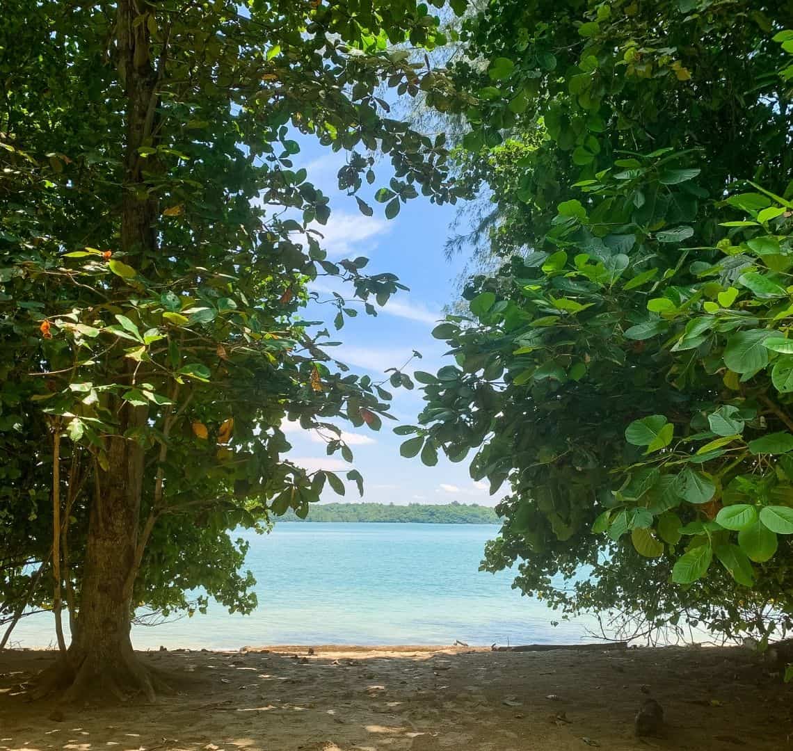 There are two large green trees framing the image - one on each side. At the bottom there is sand in the shade of the trees. Beyond the beach is turquoise water and beyond that the green trees of the next island (Pulau Ubin)