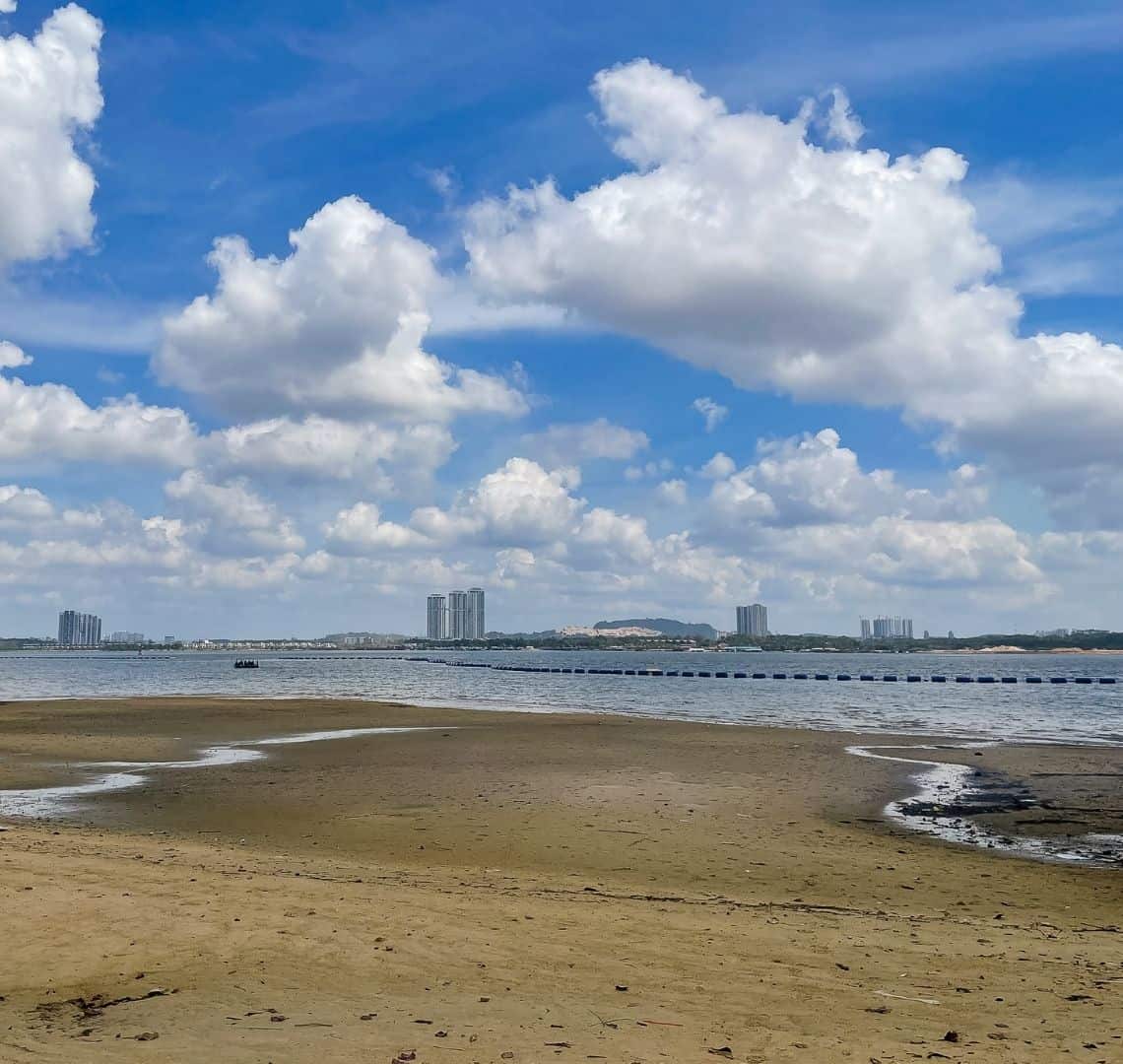 The sand on Sembawang beach is dark yellow with some green on it. It takes up around half of the photo. In the middle third is the sea with a book net running through it just off the shore. In the distance are some buildings including a few high rises. There are several white fluffy clouds in a blue sky