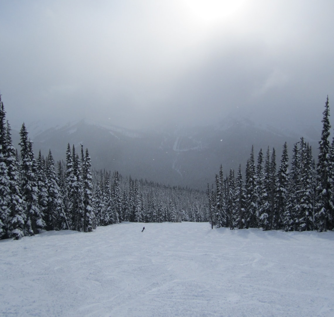 Holiday Planning - Whistler Piste View