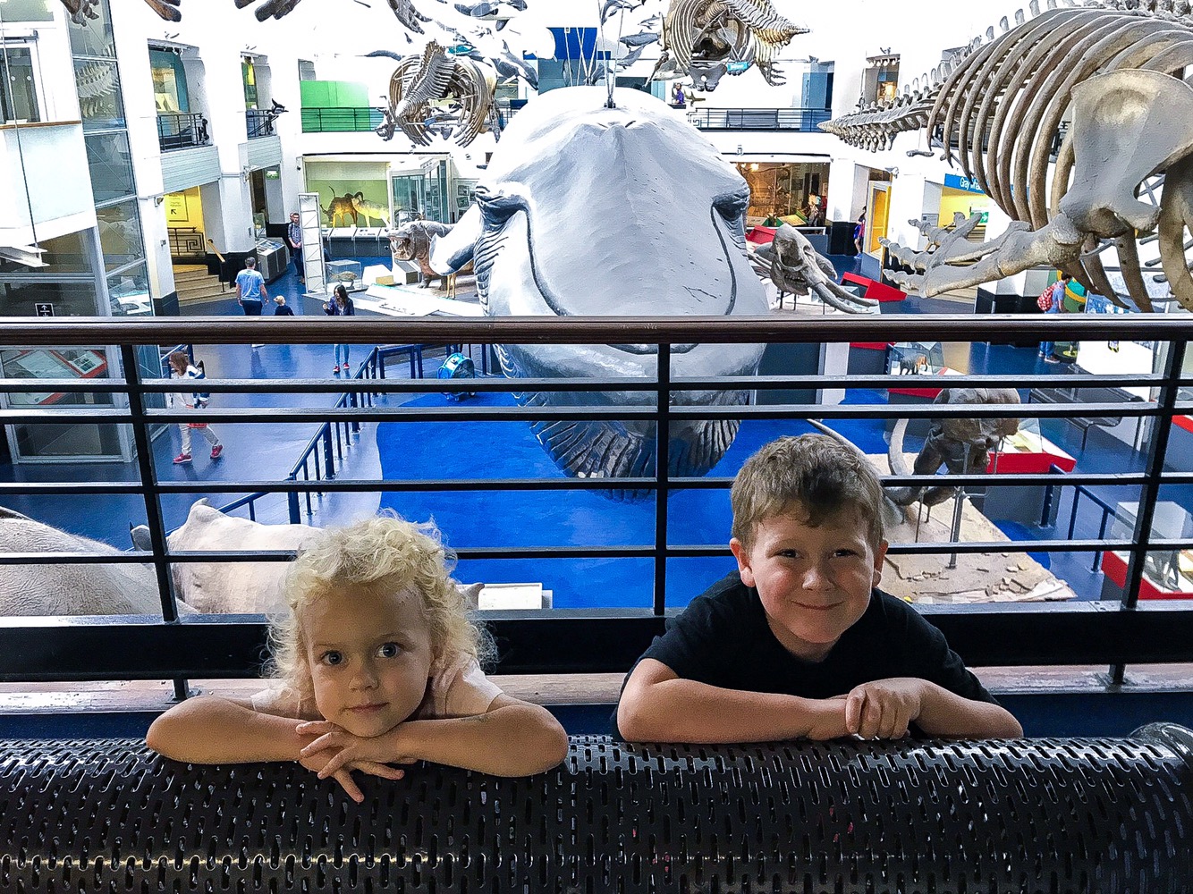 The Things exploring at the Natural History Museum in London