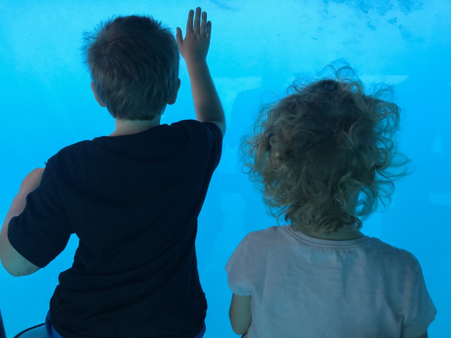 Jordan Adventures Part 5 - Aqaba and the Red Sea - Thing 1 and Thing 2 mesmerised by looking for things under the water